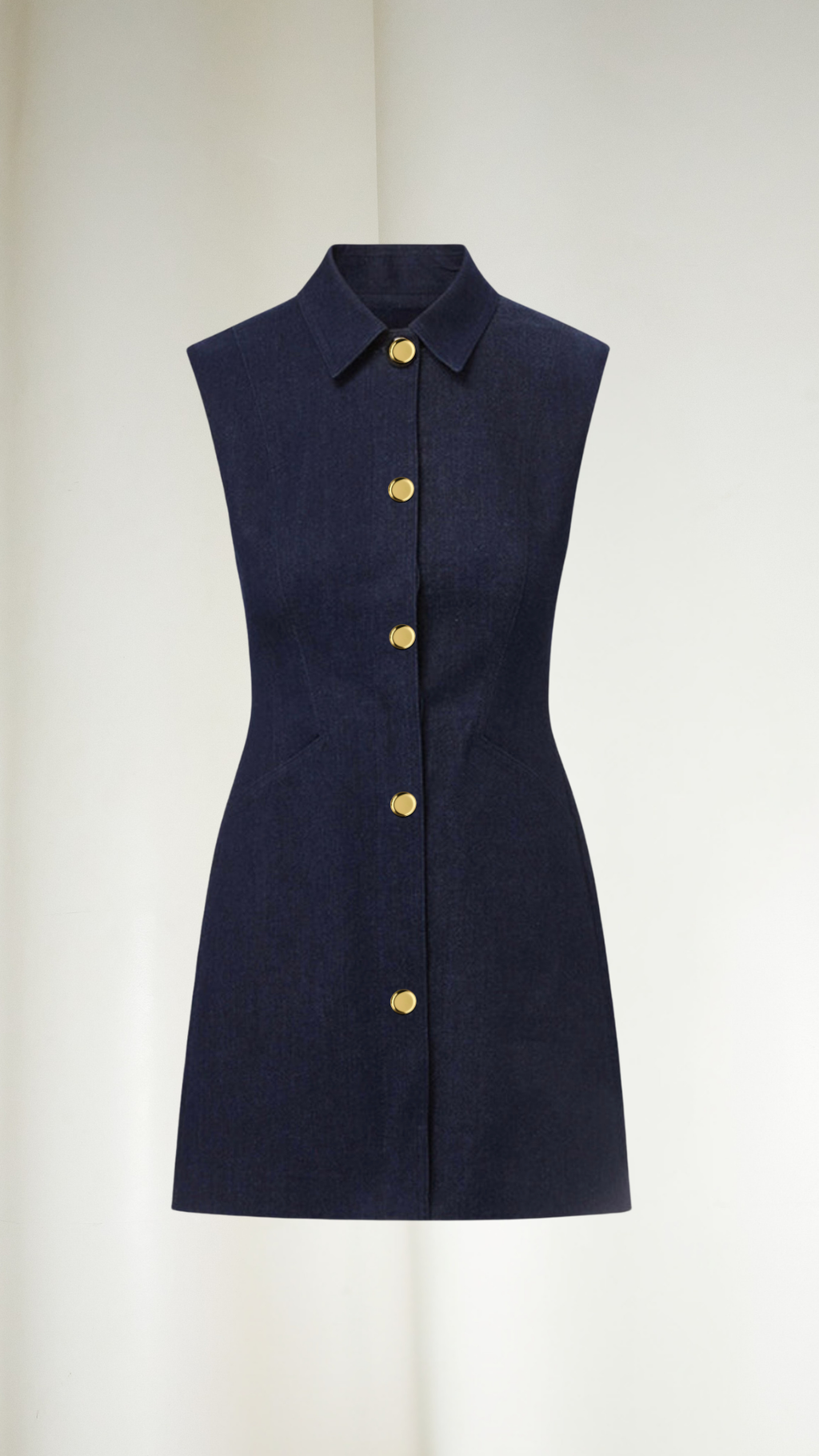 Monaco Denim Dress