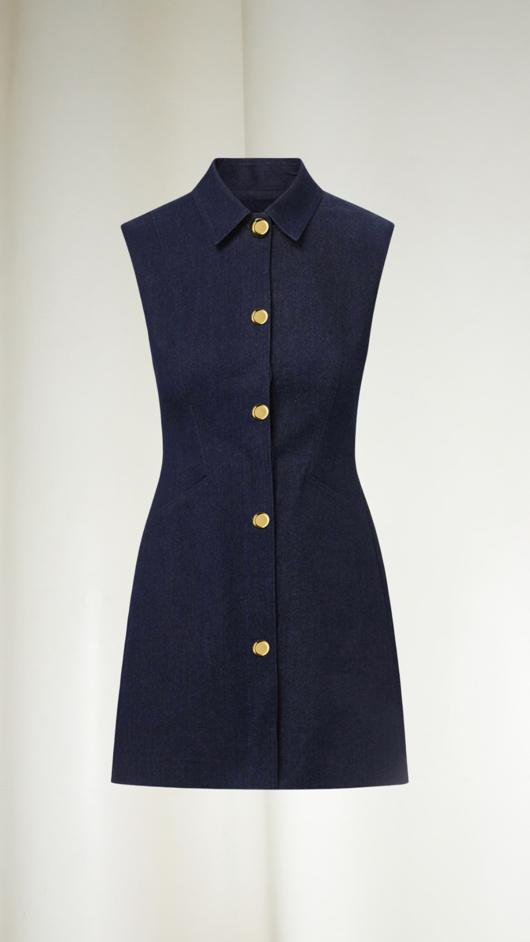Monaco Denim Dress